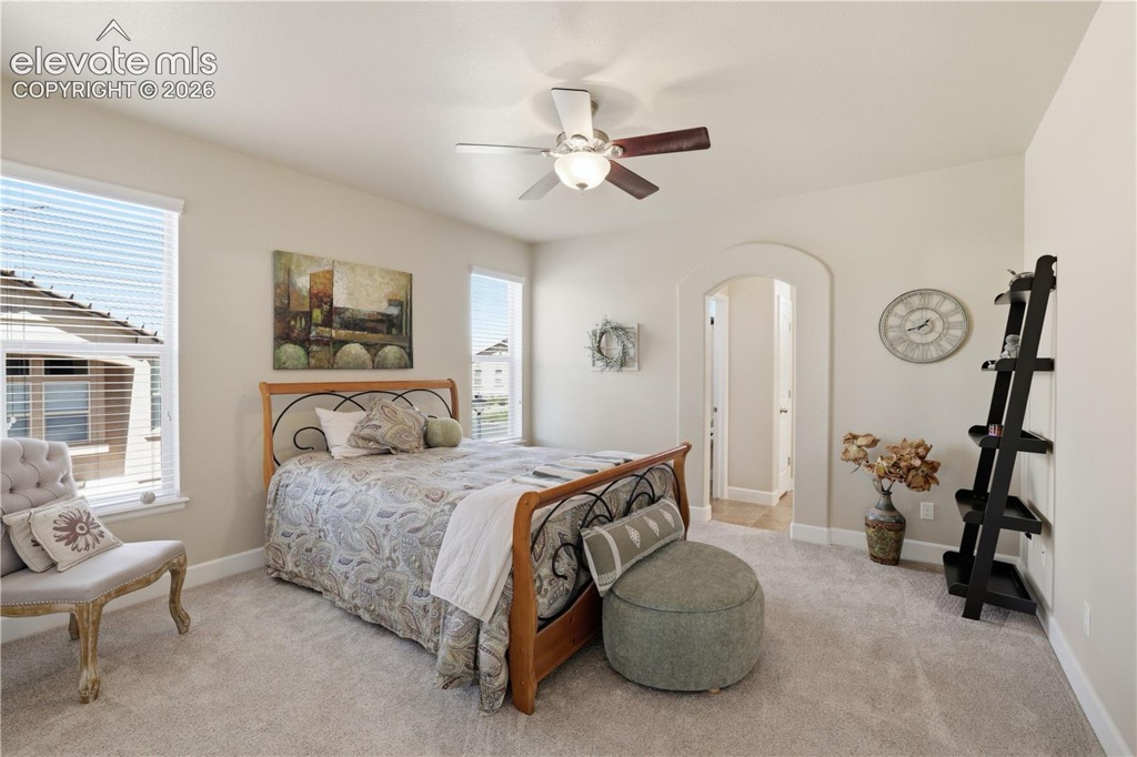 13036 Cupcake Heights, Colorado Springs — photo 20