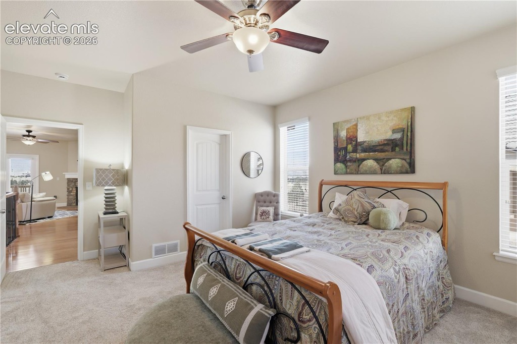 13036 Cupcake Heights, Colorado Springs — photo 21